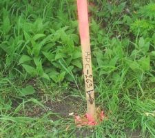 Implantation de la maison par le constructeur