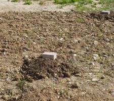 Pose de plots pour la mise à niveau du terrain avant remblaiement avec la terre végétale