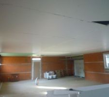 Plafond quasi fini , il reste les coupes