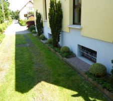 Bordure de la maison de papy et mamy façade Nord avec buis panachés en boule, taxus et couvre-sol fraisiers: Ceci avant l'hiver rigoureux de février 2012