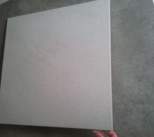 Carrelage de la totalité des pièces sèches : plus facile pour l'entretien,et plus efficace avec le chauffage au sol

45*45 avec plusieurs teintes et facile à entretenir