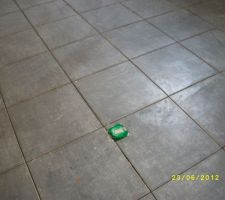 Prise au sol pr&eacute;vu  pour mettre une prise escamotable  sur l'ilot centrale