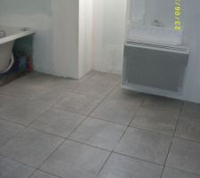 Autre vue du carrelage de la salle de bain .