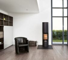 Musis cottage poplar