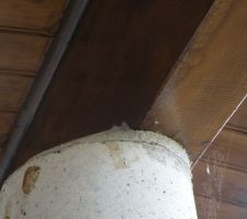 Poteaux trop raboté par les charpentiers pour poser la charpente.