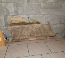 Vue g&eacute;n&eacute;rale du mur de la d&eacute;couverte