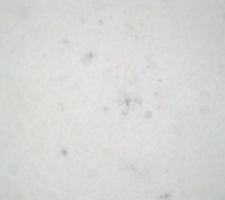 Tâches d'humidité