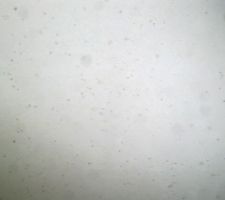 Tâches d'humidité