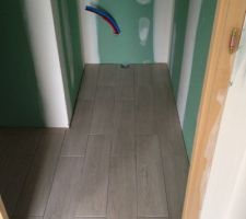 Carrelage Canaima Abeto