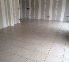 Carrelage Novoceram Elixir Sienne 45x45