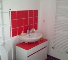 Ne manque plus que l'armoire de toilette dans la salle de douche du RDC