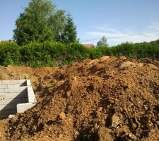 Vide sanitaire en cours... De quoi aplanir tout autour de la maison