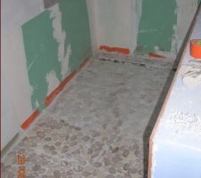 Douche &agrave; l'italienne de la salle de bains RDC