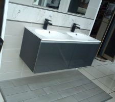 Choix pour la salle de bain. juste la fa&iuml;ence sur la teinte de la frise