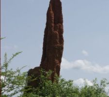 Construction made in Côte d'Ivoire ;) 
La termitière culminait à 3 mètres de haut !