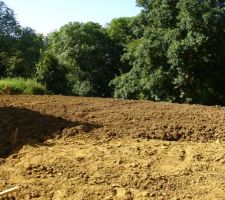 Vue de la fenêtre du rez de jardin,tout est parfait !!