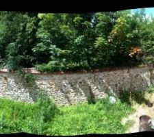 Vue sur le "jardin"