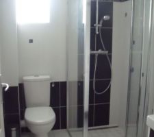 Douche &agrave; l'italienne avec parois   WC dans la petite salle d'eau