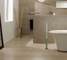 Carrelage salon century gres cerame