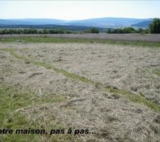 Terrain apr&egrave;s fauchage, 15 jours avant le d&eacute;but des travaux