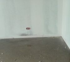 Dans la chambre Bâtiment C
Début de moissisure