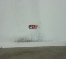 Début de moissisure chambre Bâtiment C