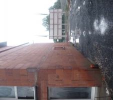 Eau stagnante près du bâtiment C