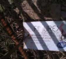 Ferraillage pour les fondations