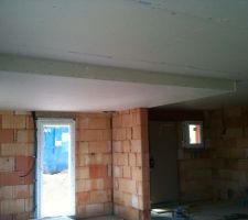 Coin salon avec plafond plus bas pour délimiter l'espace...on mettra des spots pour créer une ambiance spécifique.