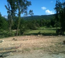 Vue du terrain sud-est apres la coupe du bosquet