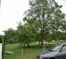 Le devant du terrain avant coupe