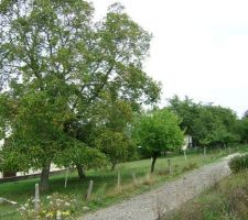 Vu terrain avant coupe