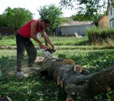 Mon beau-frère et le pommier tordu