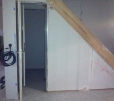 Rangement sous escalier toilettes rdc