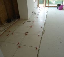 Les premi&egrave;res rang&eacute;es