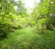 Au fond, il y a la remise !!!