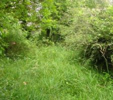 Vu de la maison depuis la remise. on ne voit pas grand chose en fait !