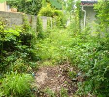 All&eacute;e qui va du garage au portail. vous ne voyez pas le portail ?? c'est normal !!