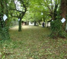 Ce n'est plus la foret vierge