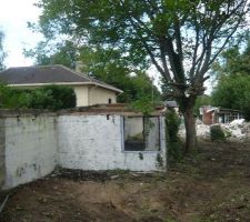 Plus d'abri de garage et noisettier, cerisier abbatu, noyer &eacute;lagu&eacute;