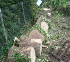 Bois de chauffage. Merci l'entreprise