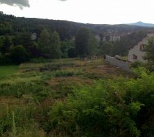 Terrain sans l'arbre