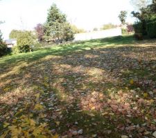 Terrain