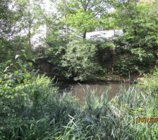 étang avant currage