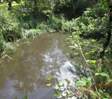 Etang avant nettoyage