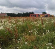 Le terrain que nous avons choisi à Laquenexy (57)