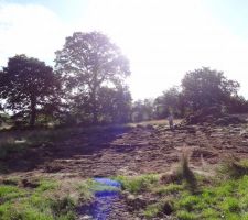 D&eacute;capage du terrain