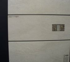 Fa&iuml;ence cuisine ?