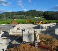 Et voila pourquoi l' "Y"