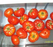 Tomate marmande non traitee